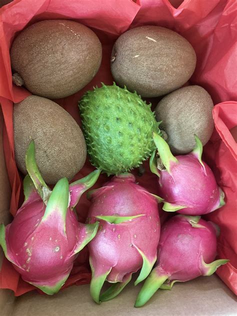 Sapodilla Chico Sapote Tropical Fruit Box Healthy And Fresh Fruits