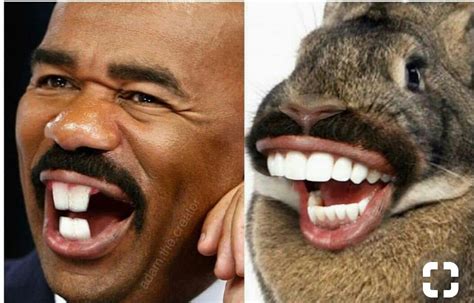 Steve Harvey Laughing Serious Meme Template Meme Maker Steve Harvey Meme Maker Find The