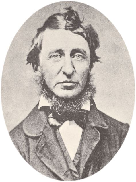 Henry David Thoreau Biography Civil Disobedience Walden Books