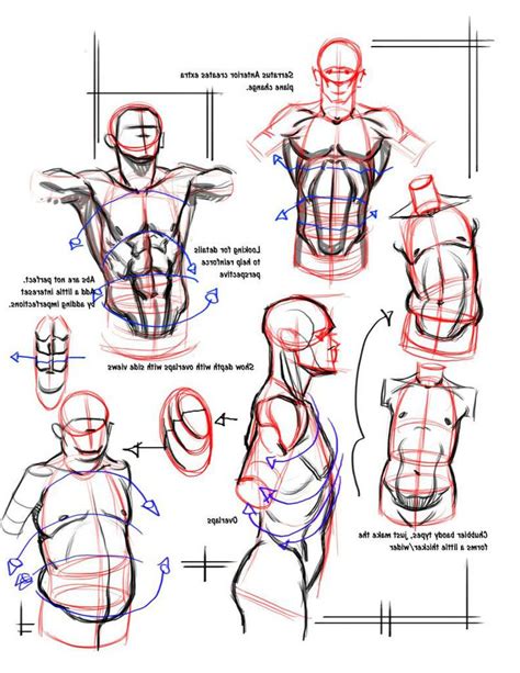 Best 25 Male Body Ideas On Pinterest Body Reference Male Body Art