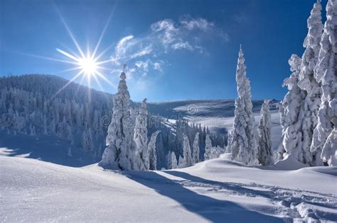 Slovakia Winter Mountain Velka Fatra Stock Photo Image Of Beautiful
