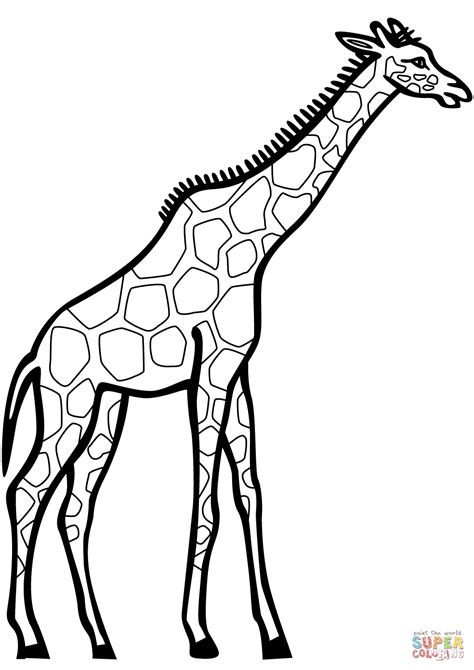 Desenho De Girafa Para Colorir Desenhos Para Colorir E Imprimir Gratis