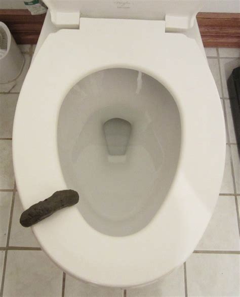 1 New Party Pooper Bathroom Toilet Gag T Fake Crap Human Turd Poop