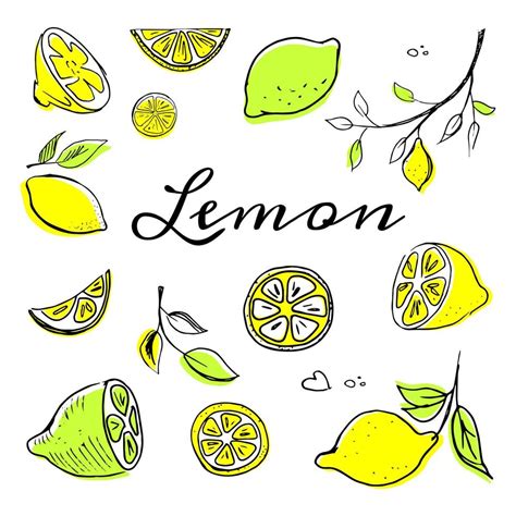 Hand Drawn Lemon Set1 5454025 Vector Art At Vecteezy