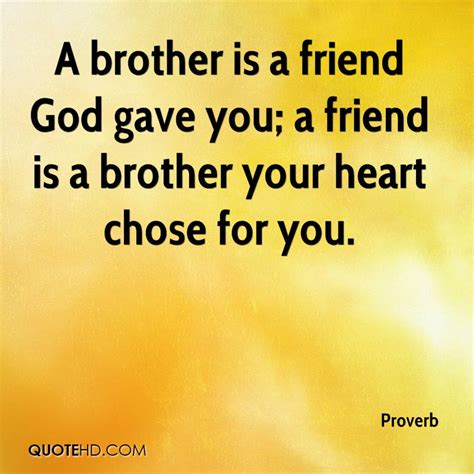 All these quotes collection are written by famous a brother is a friend god gave you; Proverb Quotes | QuoteHD