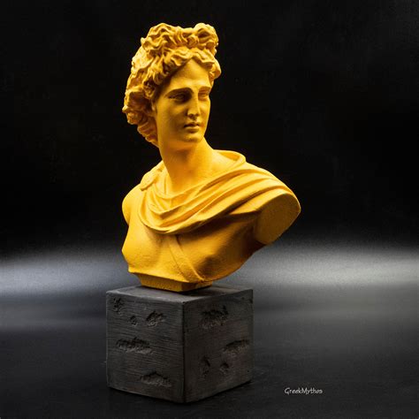 Apollo Greek God Greek Roman God Apollo Bust Statue Apollo Belvedere