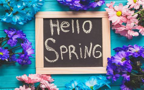 Hello Spring Purple Wallpapers Wallpaper Cave