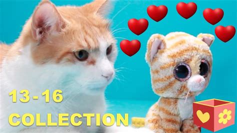 Simba And George Cute And Funny Cats Bellboxes Collection Youtube