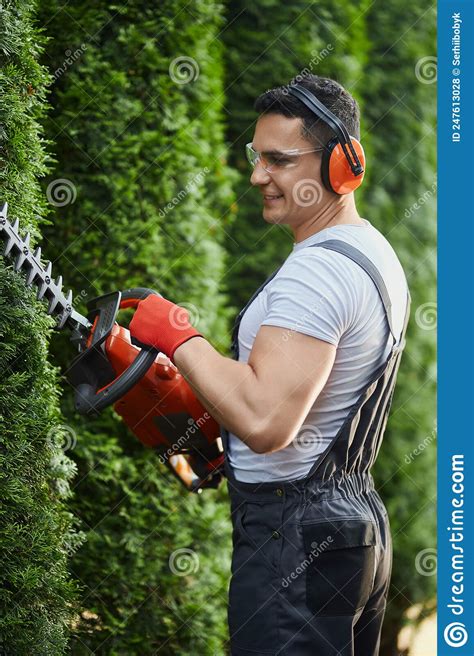 Caucasian Man In Overalls Pruning Hedge With Electric Cutter Stock Photo Image Of Care