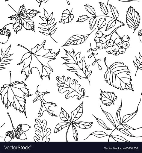 Autumn Leaves Seamless Pattern Black And White Vector Image