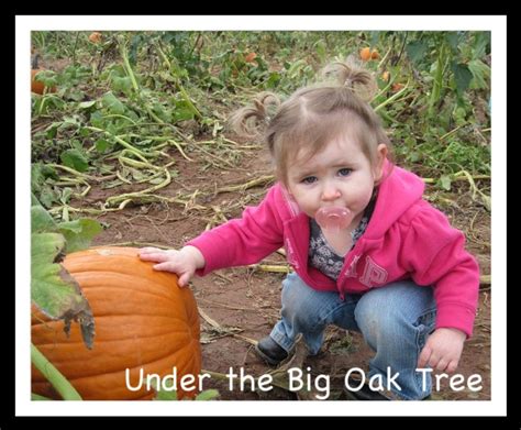 Under The Big Oak Tree Wordless Wednesday ~ My Little Pumpkin