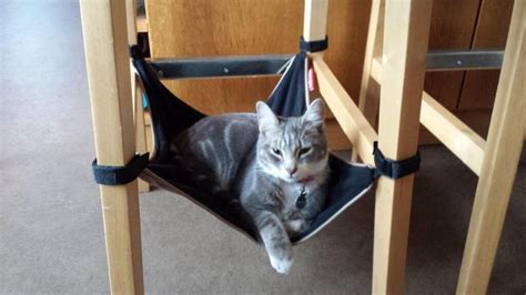 Cat Hammock Hangs Under Chair Designs And Ideas On Dornob