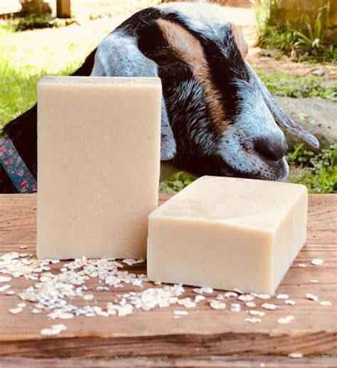 Unscented Goat S Milk Cold Process Soap Bars Etsy