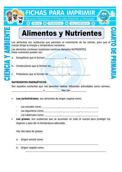 Ficha Alimentos Y Nutrientes Para Cuarto De Primaria