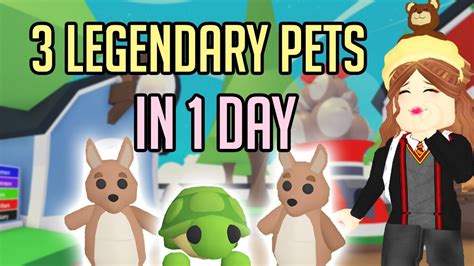 How I Got 3 Legendary Pets In 1 Day How To Get Legendary Pet In