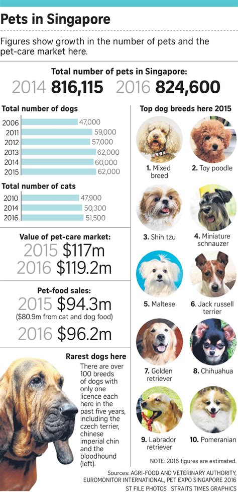 Overpopulation is the number one reason for stray or abandoned animals—only 2% of stray. Singapore's Dog Overpopulation: Cute, or cruelty? | Perropet