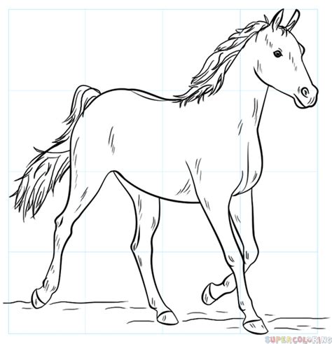 Stay tuned for more free drawing lessons by: Easy Arabian Horse Drawings