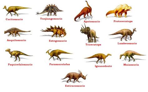 Imágenes De Nombres De Dinosaurios Imágenes