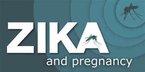 Women And Their Partners Who Are Thinking About Pregnancy Zika Virus