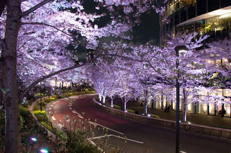 Five Of The Best Places To Stay In Tokyo World Best Tourism