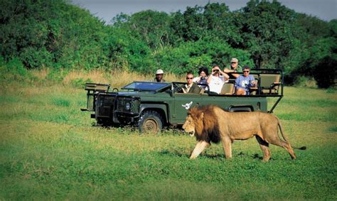 What To Expect On An African Safari 4 Things You Should Knowtravel