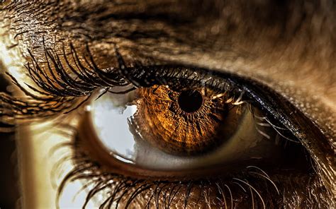 Female Eye Macro Brown Eyes Human Eye Bokeh Eyes HD Wallpaper