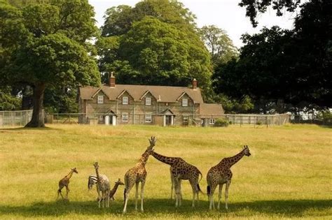 Best Safari Parks In Europe