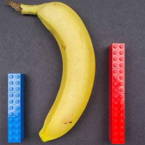 How Big Is The Average Penis Let S Compare With Household Objects
