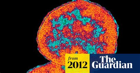 Sexually Transmitted Infection Rates Soar Among Young Gonorrhoea The Guardian