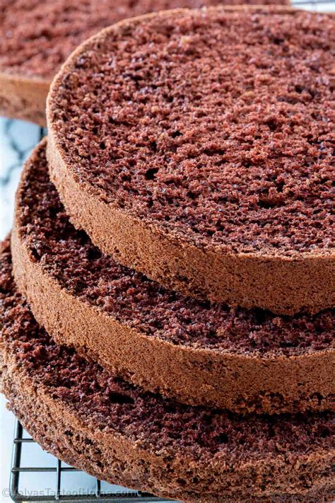 Deliciously Moist Chocolate Sponge Cake A Chocolate Lovers Dream
