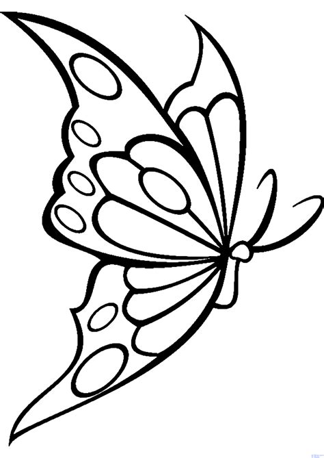 磊 Los mejores dibujos de Mariposas para dibujar