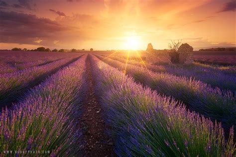 Sunset In Provence Landscape Photos Provence Beautiful Nature