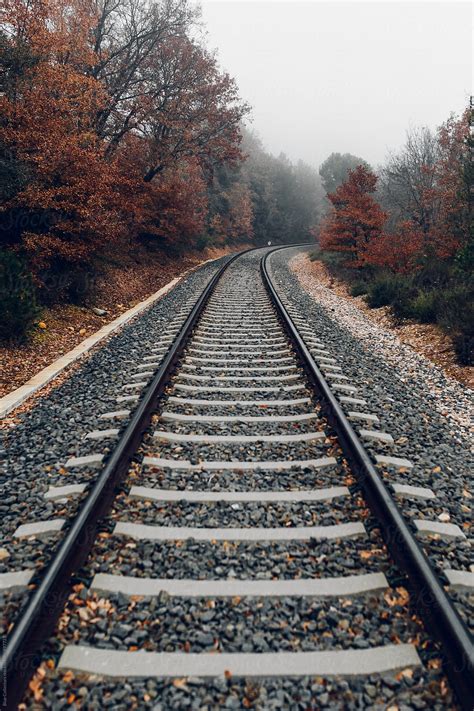 Railway Line In Autumn Stock Image Everypixel