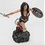 Wonder Woman BvS  Resin Model Figure 1/8 Scale 1015 Pictures