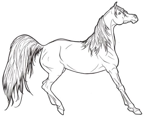Realistic Horse Coloring Pages To Print Coloring Home