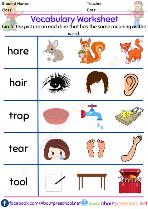 Vocabulary Worksheet 20 About Preschool