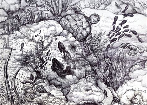 Black And White Sea Life Art Print Ink Drawing By
