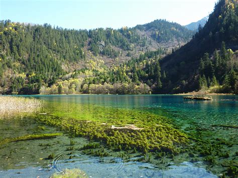 Fonds Decran Lac Chine Vallée De Jiuzhaigou Valley Panda Lake Nature