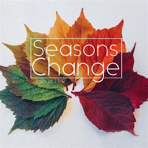 Celebrating The Melodies Of Natures Changing Seasons