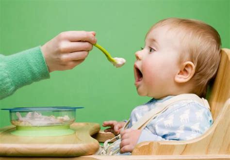 What Are Baby Food Supplements And What Do Babies Need Most Baby