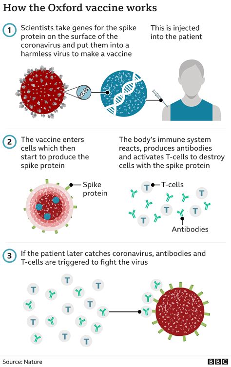 The johnson & johnson vaccine modifies an existing adenovirus, which usually causes colds, with the novel coronavirus' spike protein, or the piece that latches onto human cells. Covid-19: Oxford vaccine rolled out to hundreds of GP ...