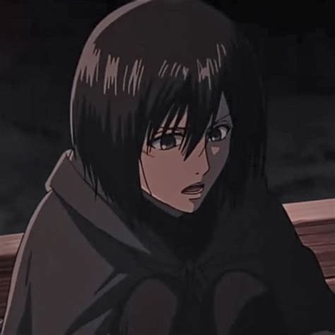 𝙨𝙖𝙪𝙘𝙚 Attack On Titan Favorite Character Anime