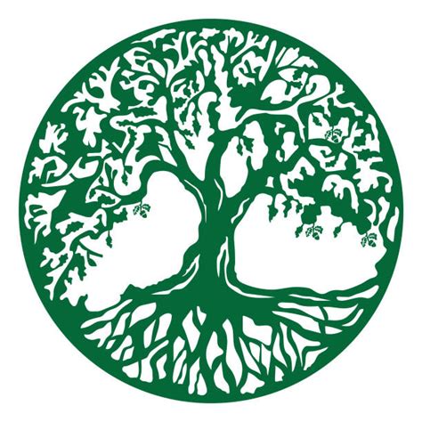 Tree Of Life Illustrations Royalty Free Vector Graphics And Clip Art