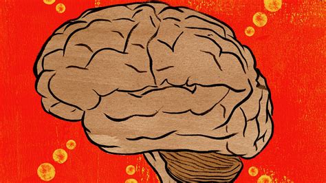 Writing and speaking come from different parts of the brain, study 