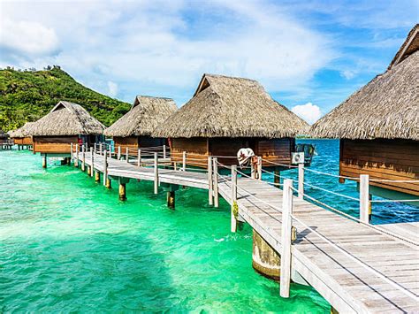 Bora Bora Luxury Resort Hotel Stilt Huts Stock Photos Pictures