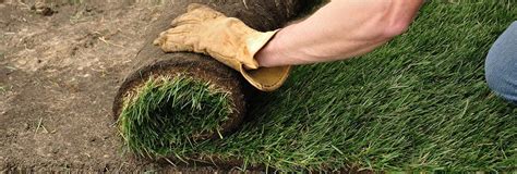 Maybe you would like to learn more about one of these? 2021 Sod Installation Cost | Sod Pricing Per Square Foot
