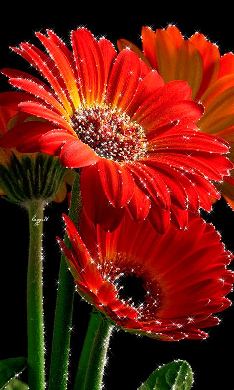 Check spelling or type a new query. fleurs