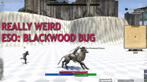 Great Veyond Strange Bug Elder Scrolls Online Blackwood Patch 30