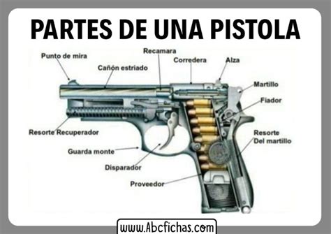 Partes De La Pistola Abc Fichas