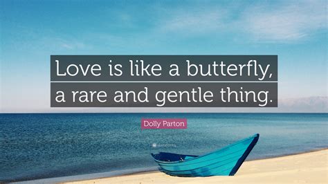 Love Is Like A Butterfly Quote Thousands Of Inspiration Quotes About